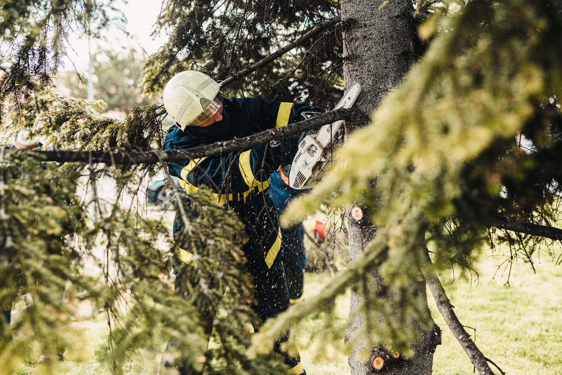 Tree Trimming — New Heights Tree Service