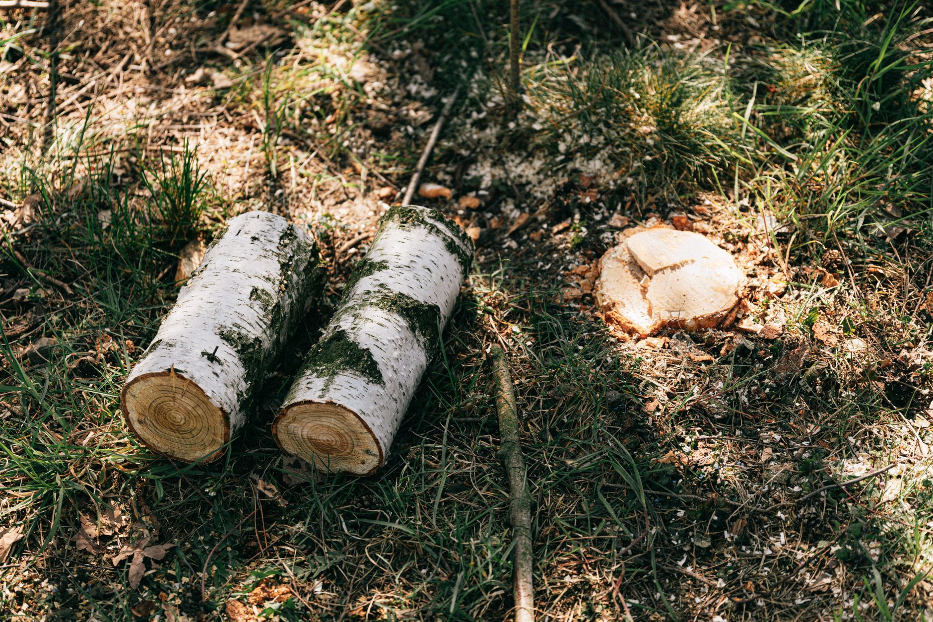 Hazard Assessment — New Heights Tree Service